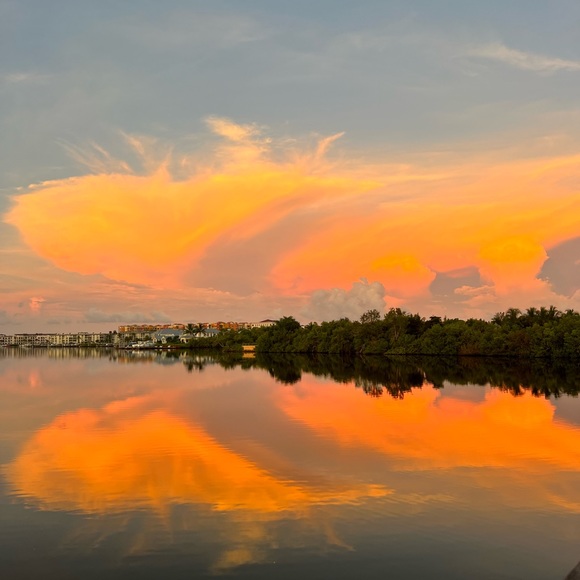 Meet your Posher, Sara - Picture 2 of 2